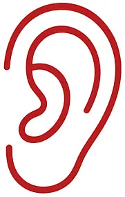 A simple red outline drawing of a human ear on a white background.