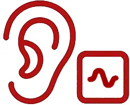 A red outline of an ear next to a square containing a red wavy line, symbolizing hearing or audio-related information.